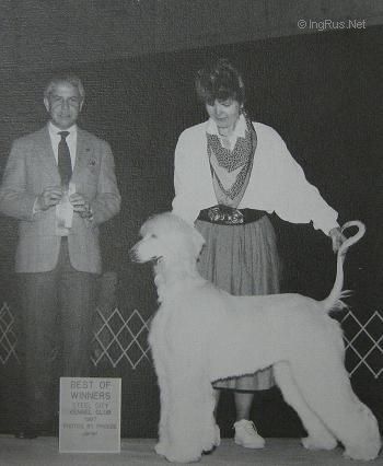 Dog Photo