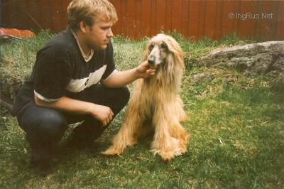 Dog Photo