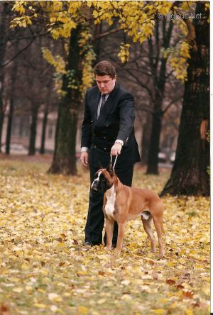 Dog Photo