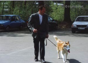 Dog Photo