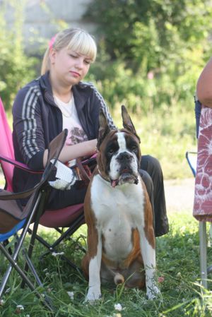 Dog Photo