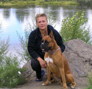 Dog Photo