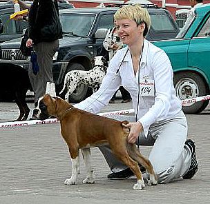 Dog Photo