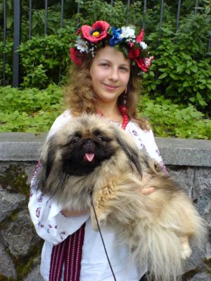 Dog Photo
