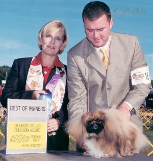 Dog Photo