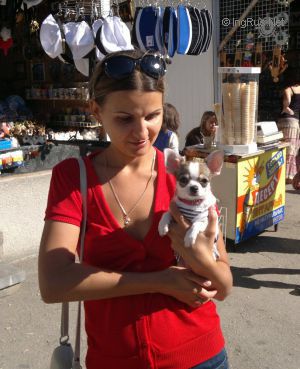 Dog Photo
