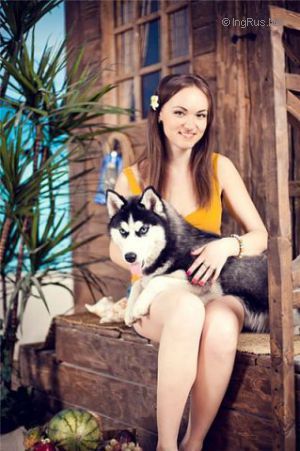 Dog Photo