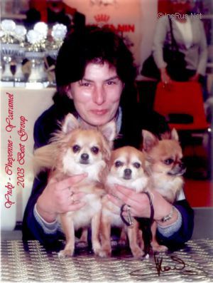 Dog Photo