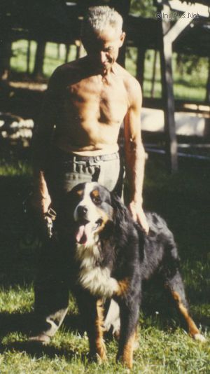 Dog Photo