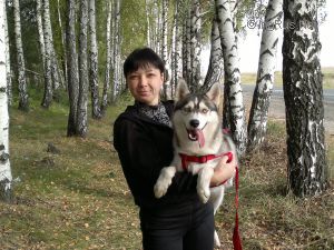Dog Photo