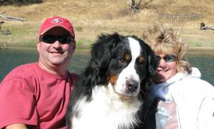 Dog Photo