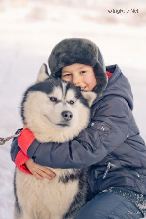Dog Photo