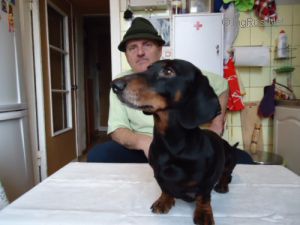 Dog Photo