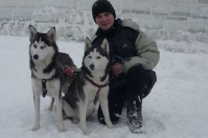 Dog Photo