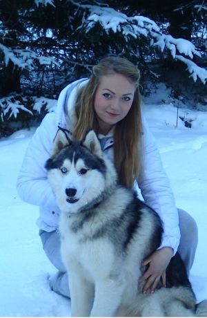 Dog Photo