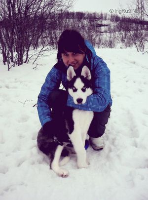 Dog Photo