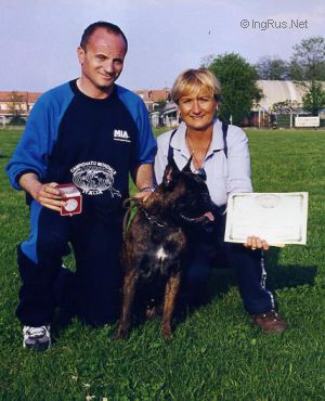 Dog Photo