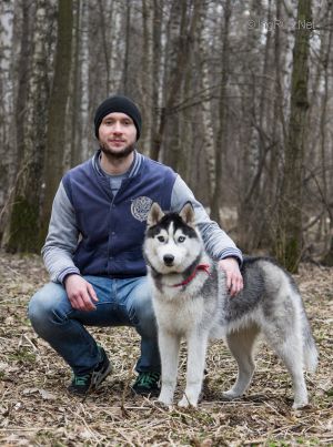 Dog Photo