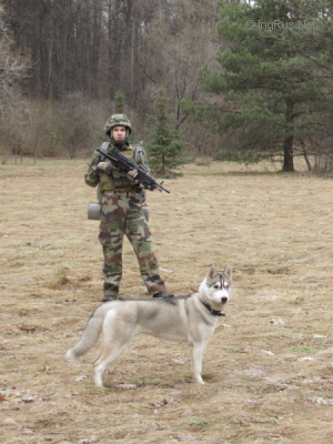 Dog Photo
