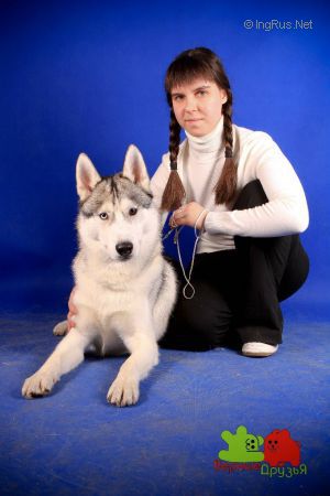 Dog Photo