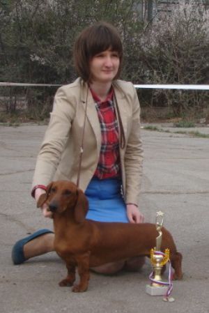 Dog Photo