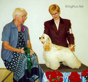 Dog Photo