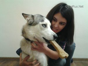 Dog Photo