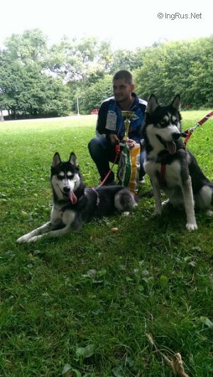 Dog Photo