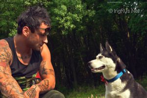 Dog Photo