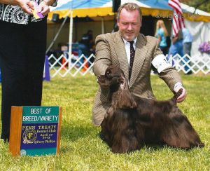 Dog Photo
