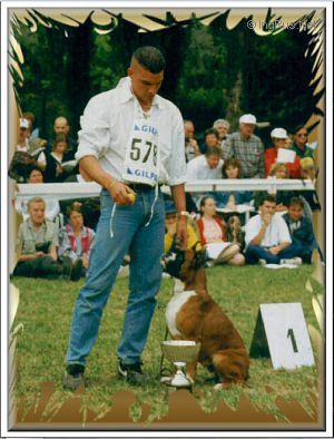 Dog Photo