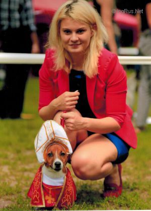 Dog Photo