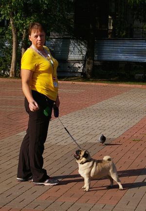 Dog Photo