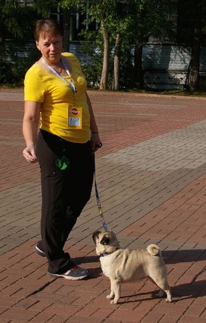 Dog Photo