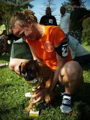 Dog Photo