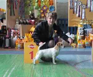 Dog Photo