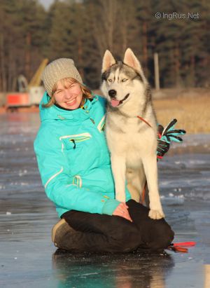 Dog Photo