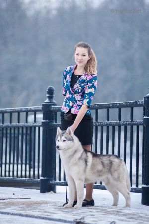 Dog Photo