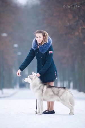 Dog Photo