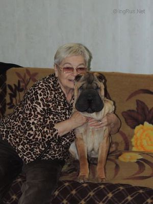 Dog Photo