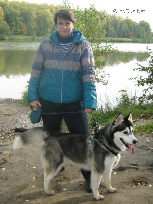 Dog Photo