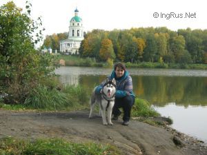 Dog Photo