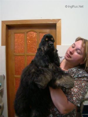 Dog Photo