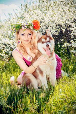 Dog Photo
