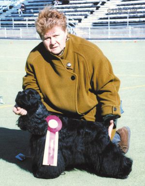 Dog Photo