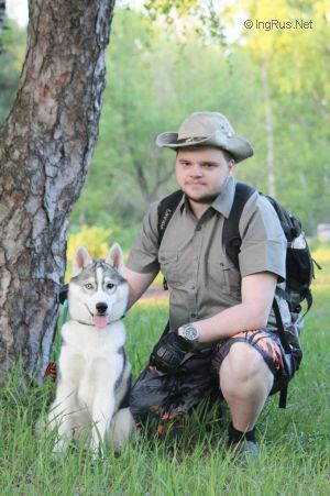 Dog Photo