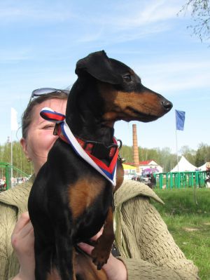Dog Photo