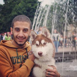 Dog Photo