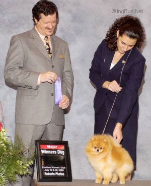 Dog Photo