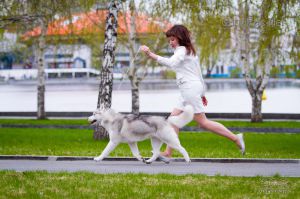 Dog Photo